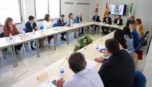 Diputacion plan estrategico