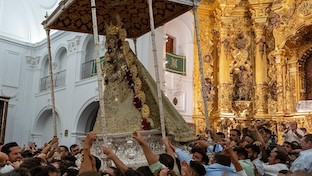 Salto reja rocio