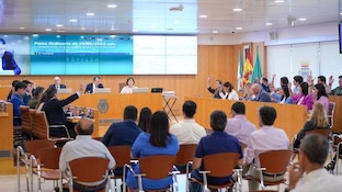 Pleno diputacion