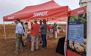 Brand la rinconada