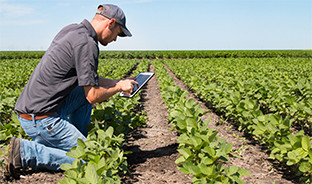 Empleo agrario