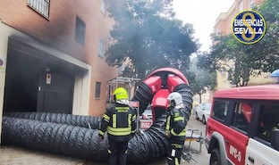 Incendio pino montano