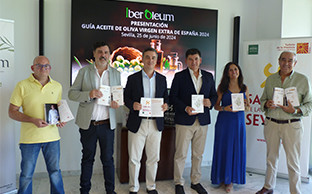 Guia aceite