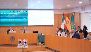 Pleno diputacion