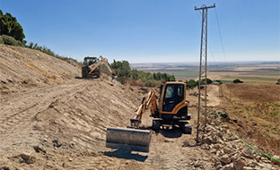 Camino pilar ancho carmona