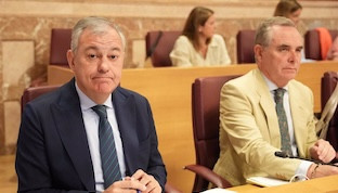 Pleno alcalde