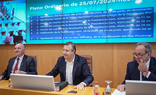 Fernandez pleno dipu
