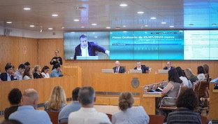 Pleno diputacion