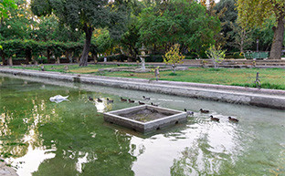 Estanque de los lotos