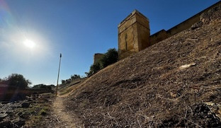 Desbroce alcala guadaira