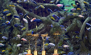 Premios RSE Dipu
