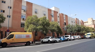 Asesinato pino montano