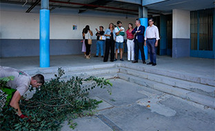 Plann arbolado sevilla