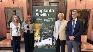 Proyecto replanta