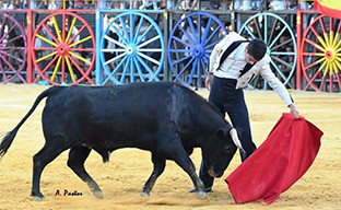 Premio toros la algaba