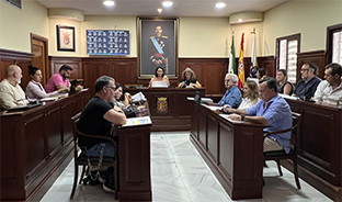 Pleno espartinas