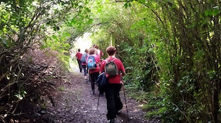 Camino santiago valme