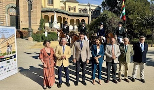 Caballo anglo arabe