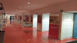 Biblioteca infanta elena