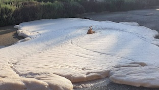Vertido agua ecija