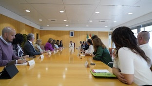 Pleno diputacion