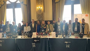 Verema vinos