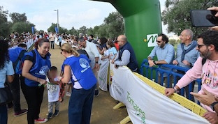 Carrera manos unidas