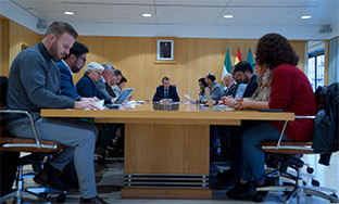 Pleno opaef