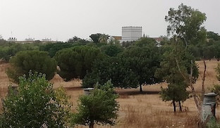 Cortijo cuarto