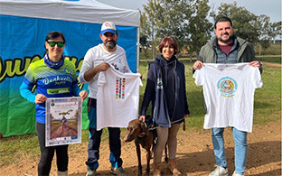 Campeonato mushing