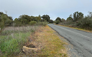 Caminos rurales