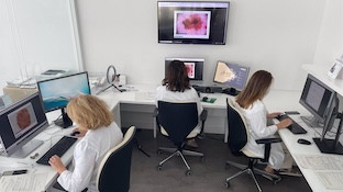 Dermatologia macarena