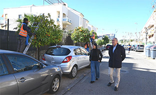 Campau00f1a naranja amarga tomares