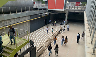 Complejo palmas altas
