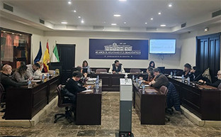 Pleno ayto guillena