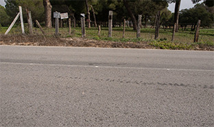 Obras aznalcazar camino