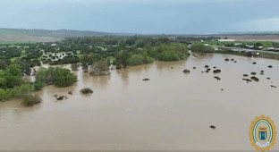 Rio guadiamar