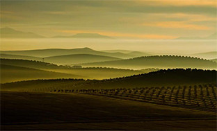 Premios medio ambiente andalucu00eda