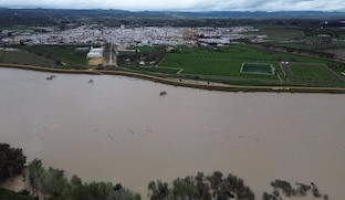 Guadalquivir lora