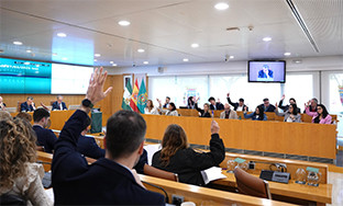 Pleno dipu memoria