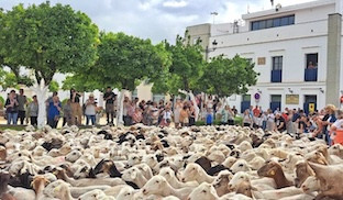 Tomares medio ambiente