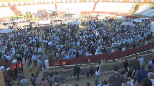 Marcha hipica ecija