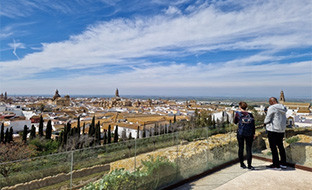 Alcazar de arriba carmona