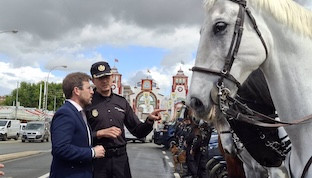 Seguridad feria