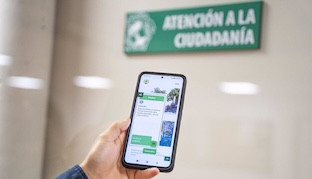 Asistente virtual mairena