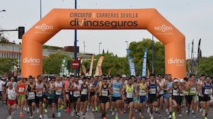 Carrera circuito imd