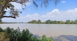 Guadalquivir restos humanos