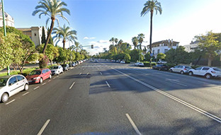 Avenida de la Palmera