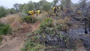 Incendio burguillos