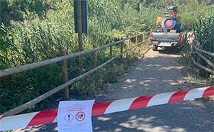 Fumigaciu00f3n la rinconada